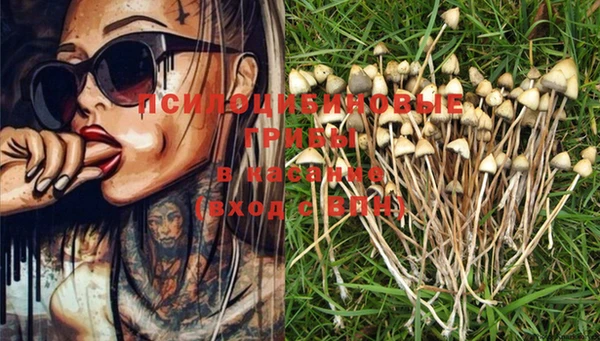 PSILOCYBIN Волоколамск