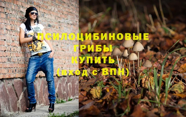 mdpv Володарск