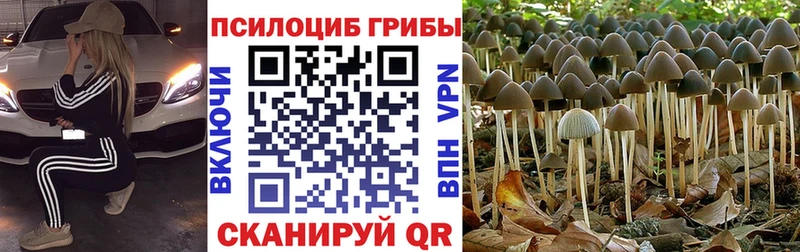 МЕГА зеркало Обнинск Галлюциногенные грибы мухоморы